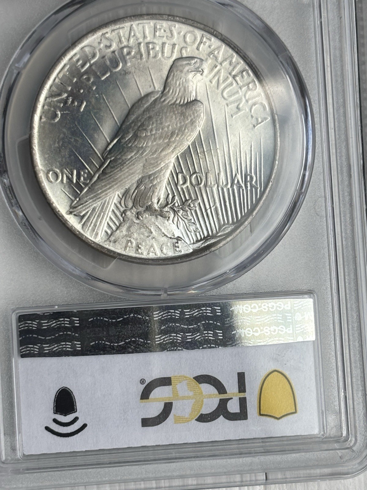 1923 Peace Silver Dollar PCGS MS65 Gold Shield Toned
