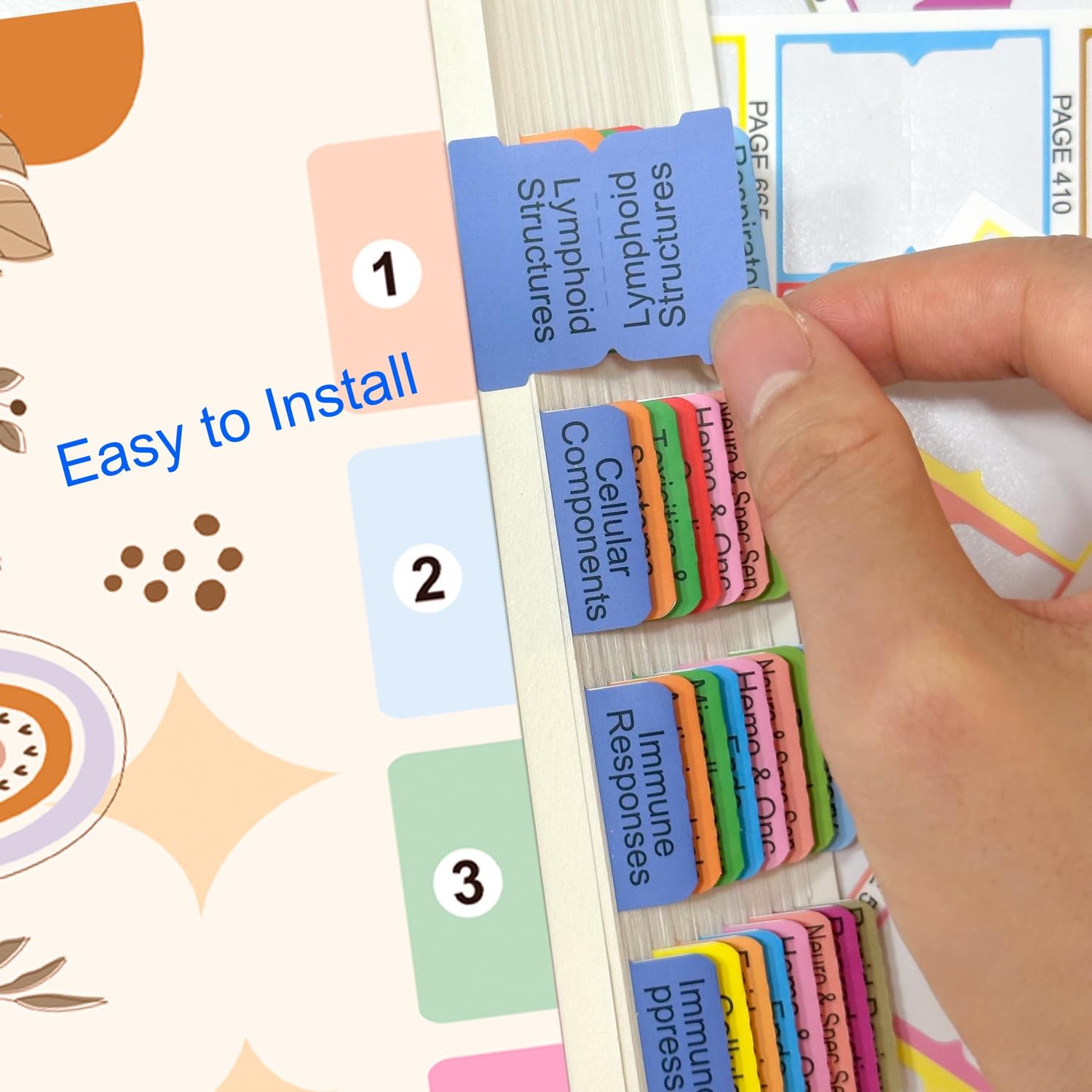 USMLE Step 1 2026 36th Edition Laminated Color Coded Index Tabs for First Aid