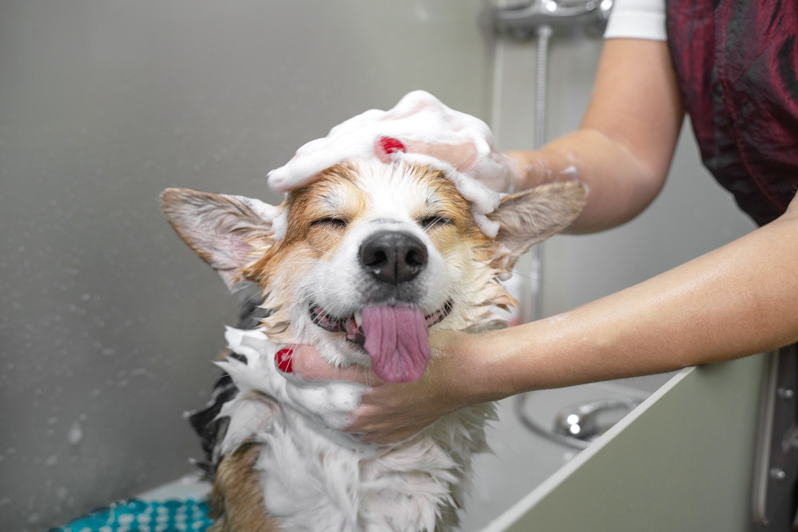 Groomer Essentials Dog Grooming Muzzle