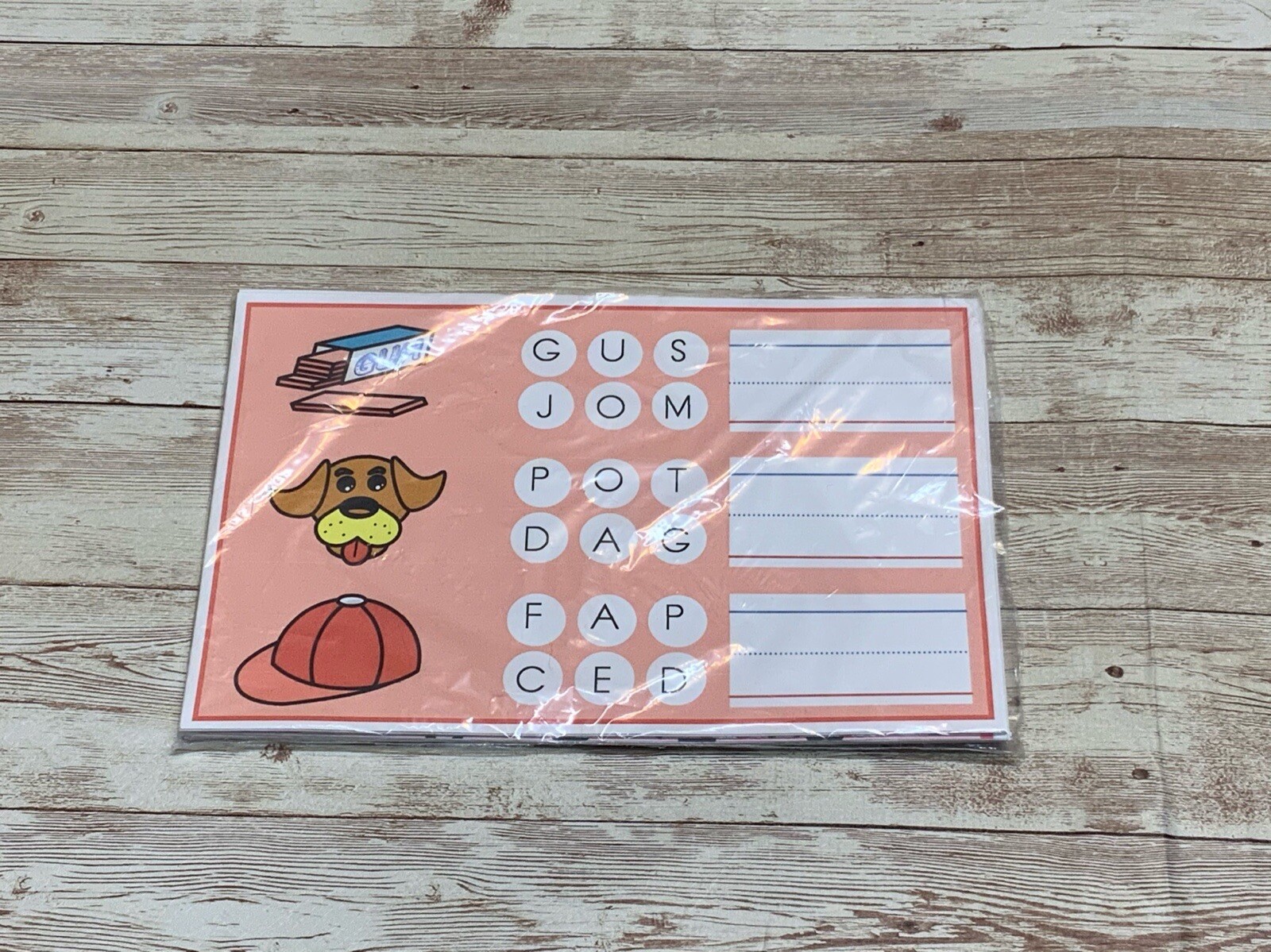 Write & Wipe Activity Set - Build A Word CVC Words - Learning Center