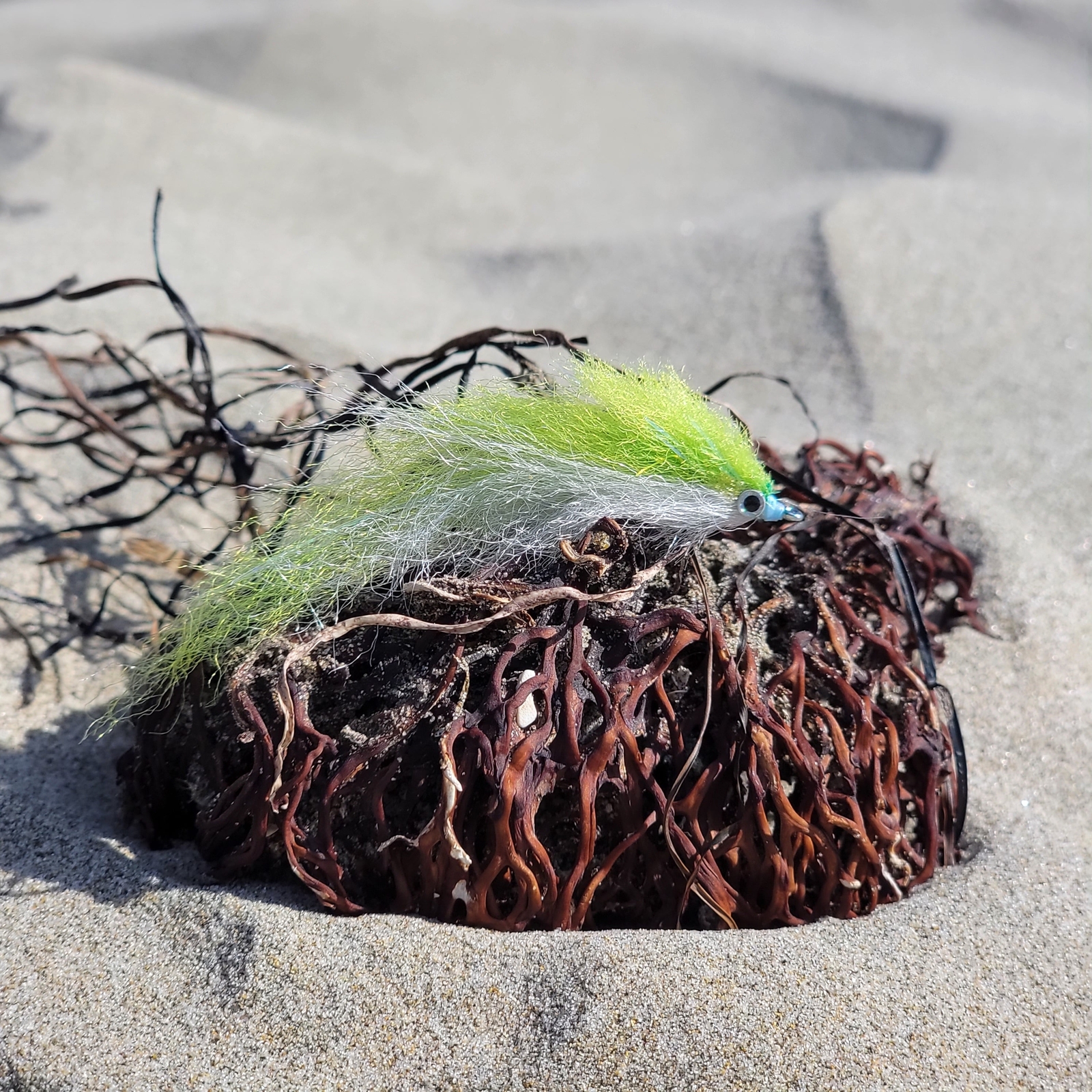 Salty Baitfish Chartreuse | Size 4