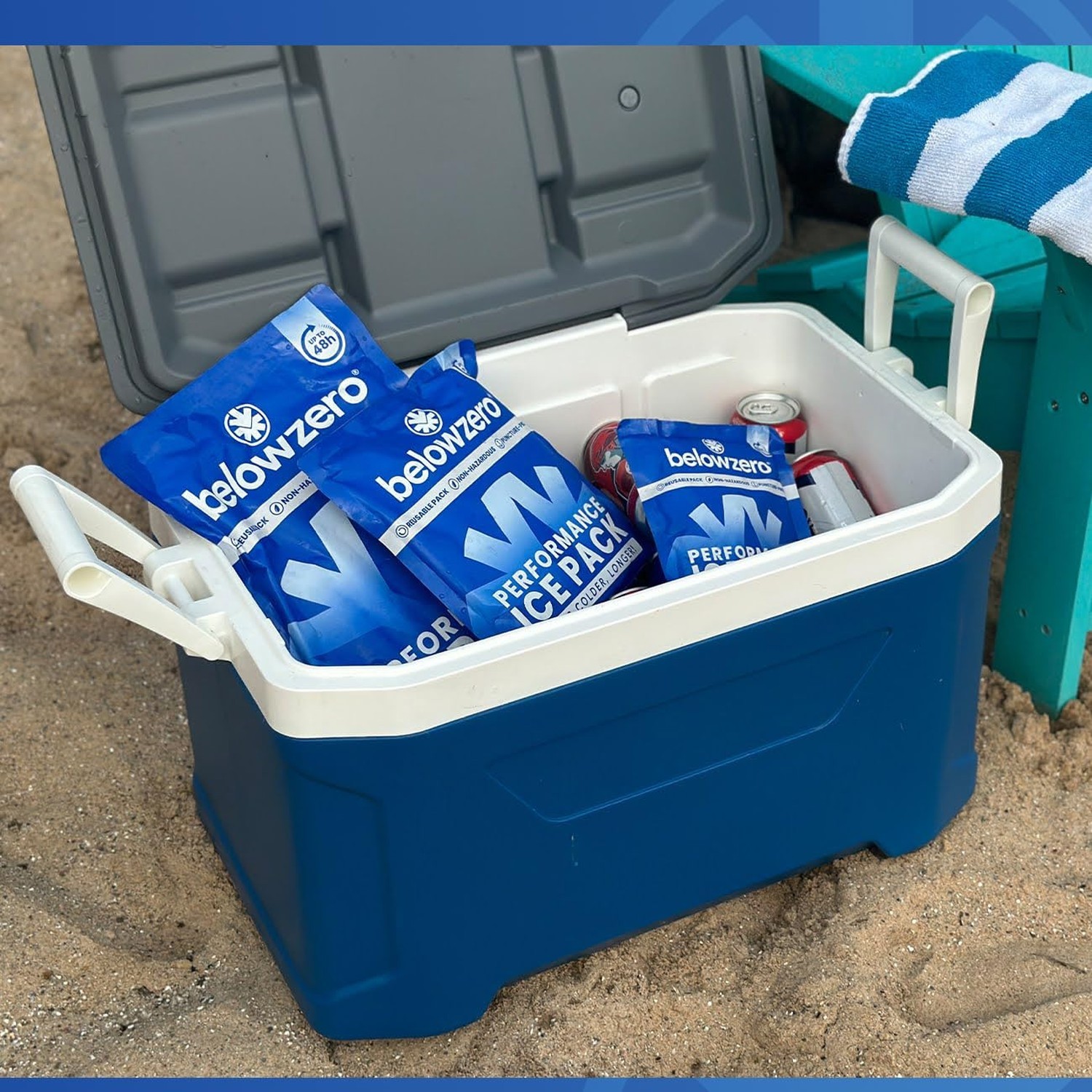 Below Zero Prefilled Reusable Ice Packs for Coolers | Long Lasting Freezer Ic...
