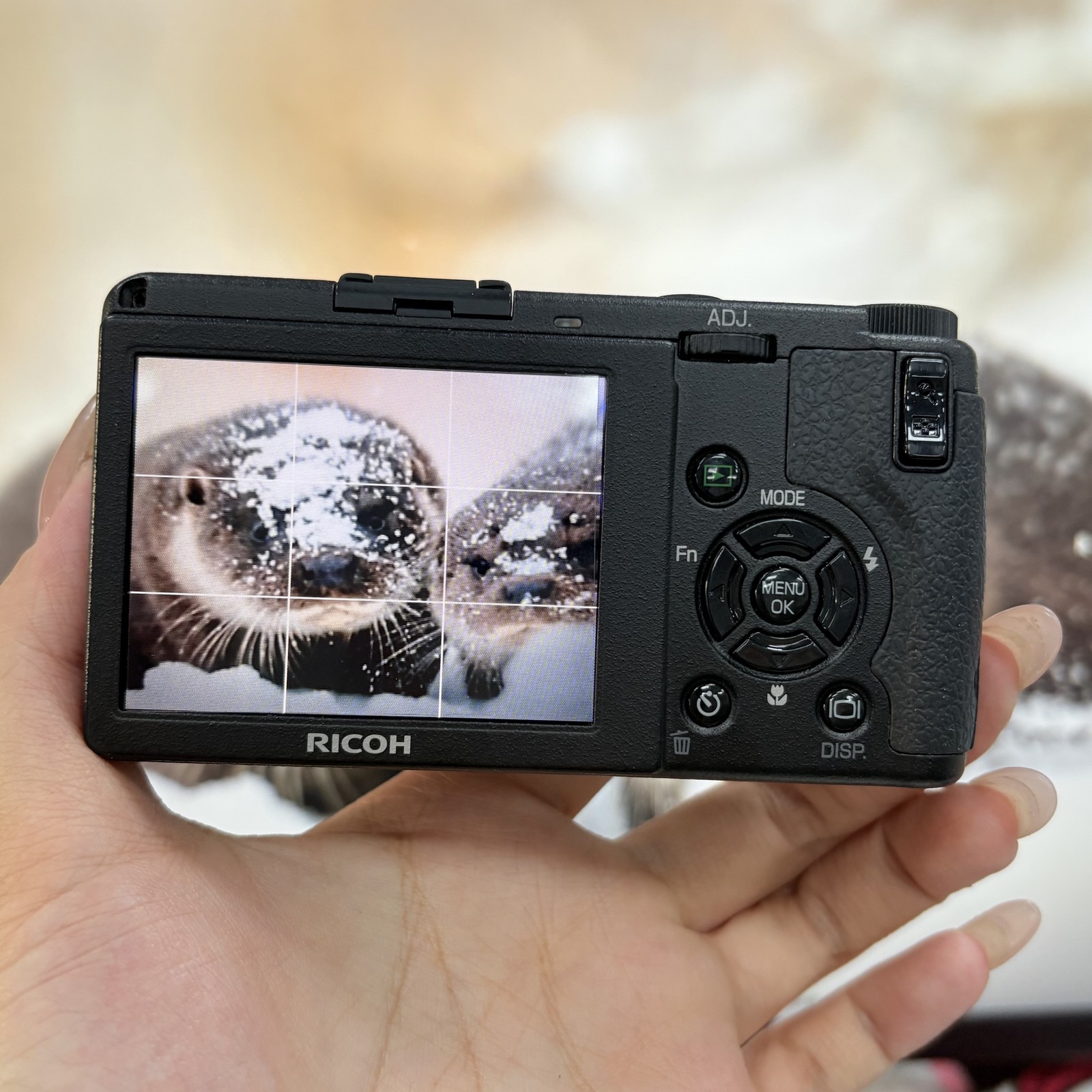 Ricoh GR Digital II GRD2 Compact Digital Camera Built-in Flash-95% New