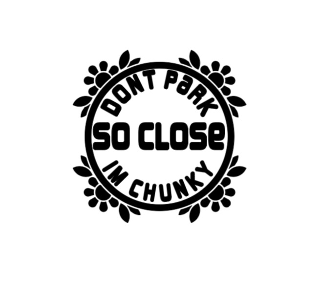 Don't Park So Close Funny Vinyl Car Sticker