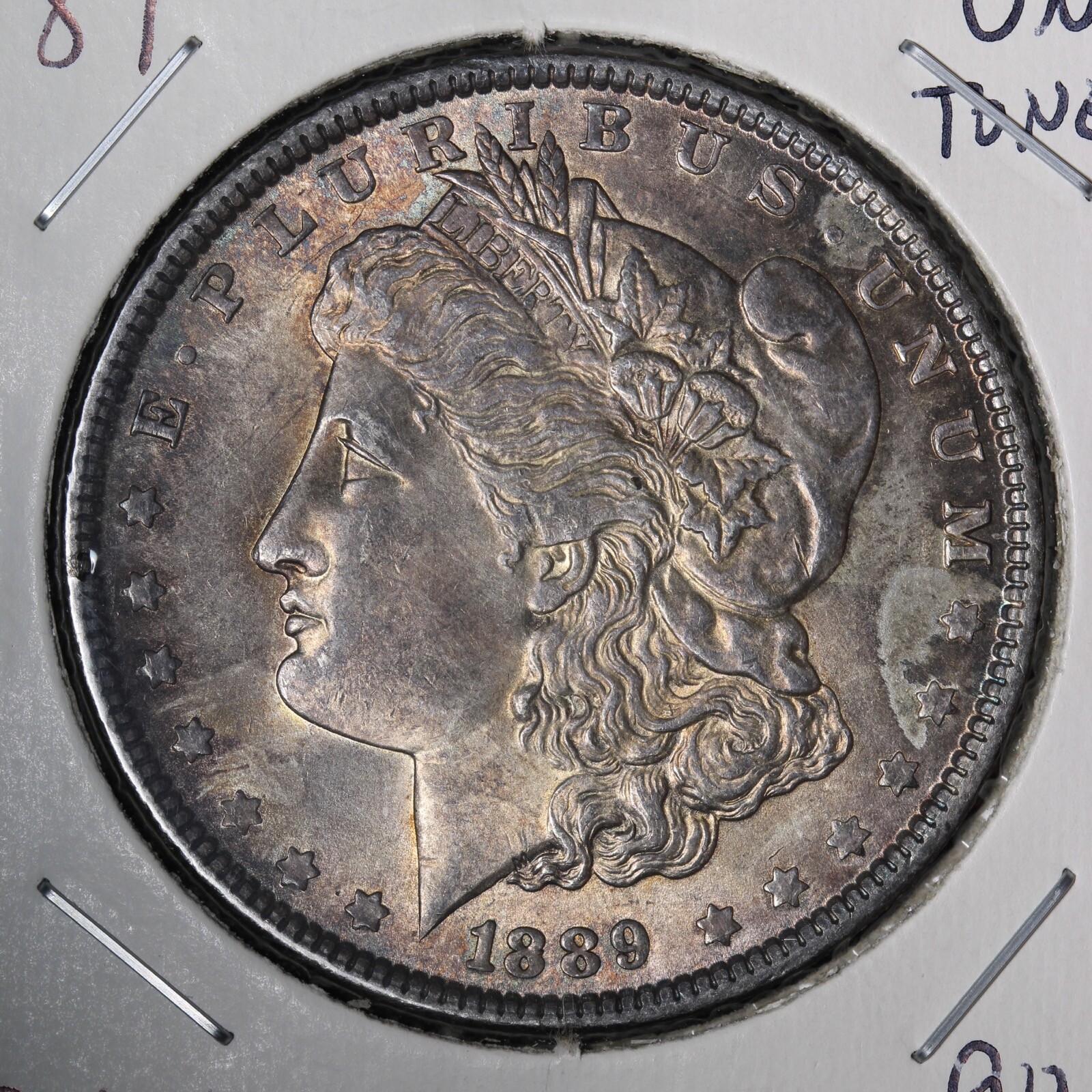 1889 Morgan Silver Dollar CHOICE UNC *UNCIRCULATED* MS TONED E194 ZMX