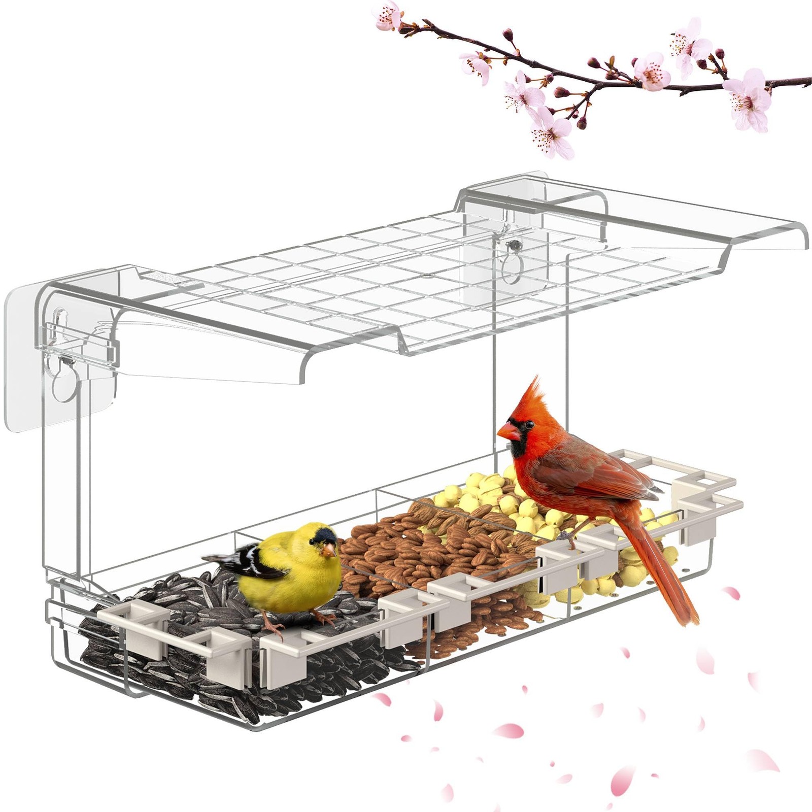 Clear Window Bird Feeder Outdoors - for Viewing with 5