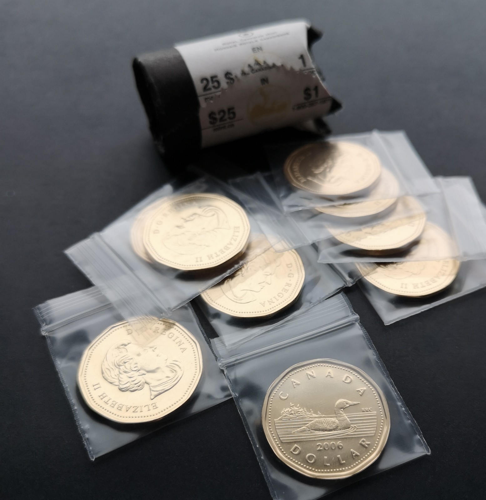 *** CANADA  LOONIE  2006  NO  LOGO  *** FROM  MINT  ROLL ***