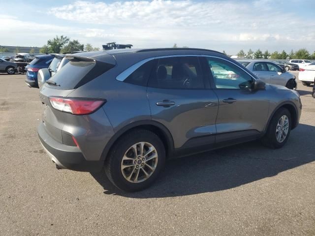 Ford Escape Contact Sensor 2022 2023 2024