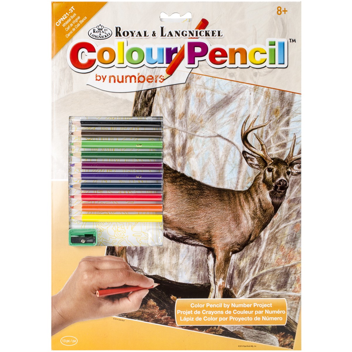 Royal Brush Color Pencil By Number Kit 8.75"X11.75"-Whitetail Buck (3Pk)
