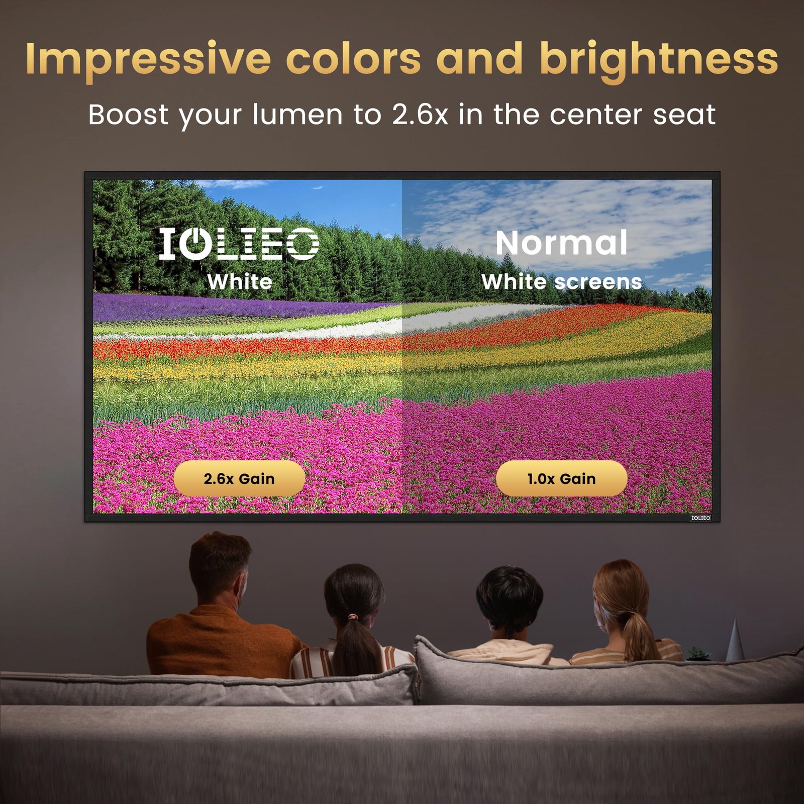 High gain 120 Inch Projector Screen - Wall Mounted - 2.6X Brightness and High...
