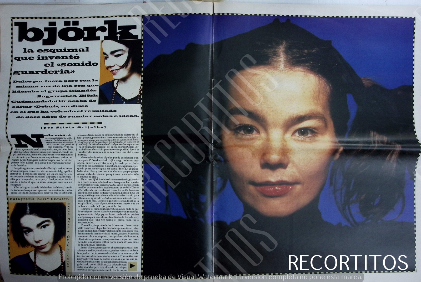 CLIPPINGS 208 BJORK