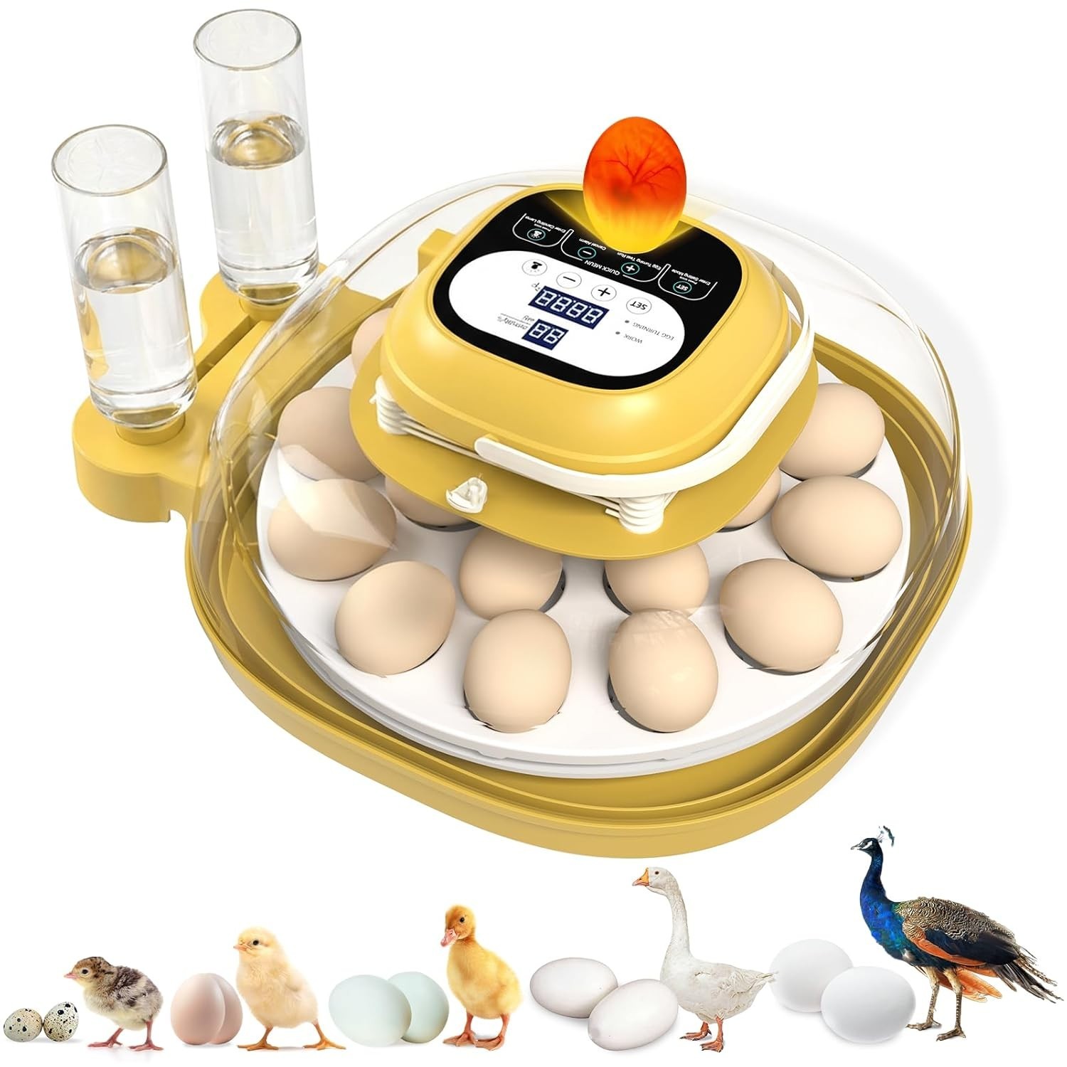 Egg Incubators for Hatching Eggs with Automatic Egg Turning & Humidity Control