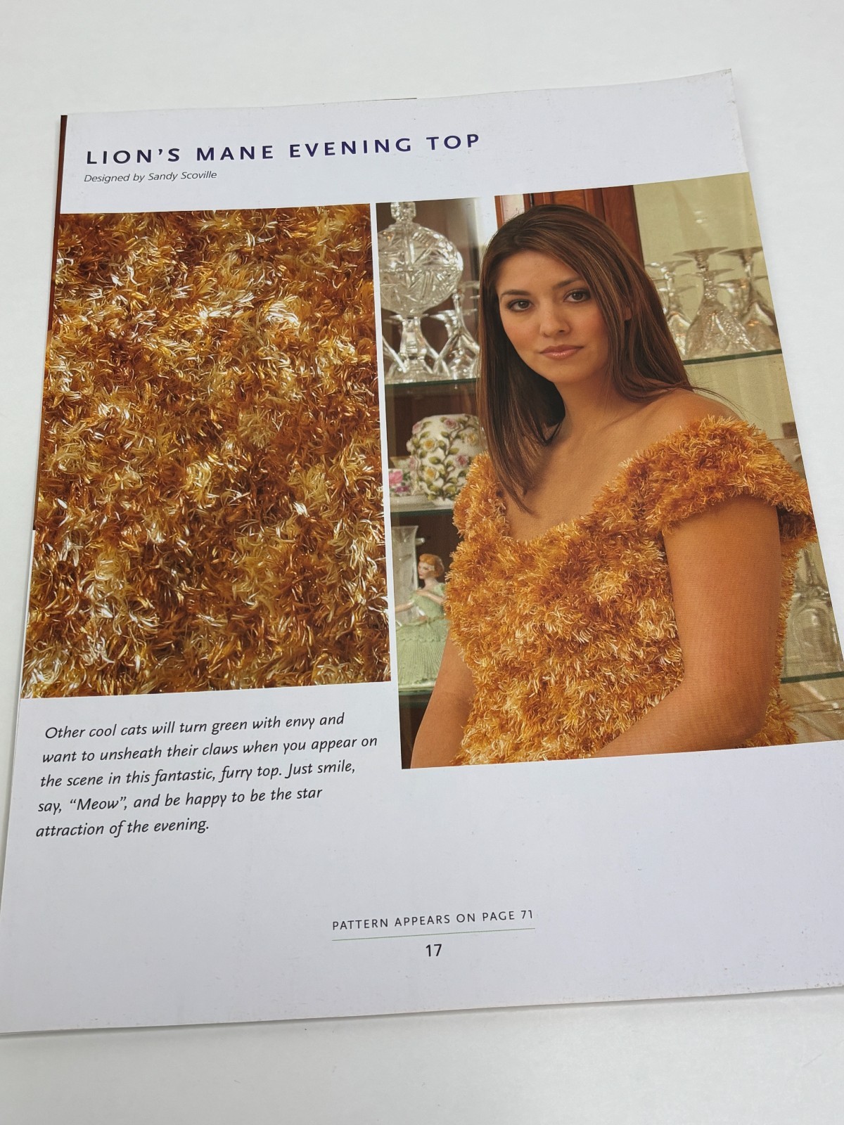 Lion's Mane Evening Top 21 Hour Project Knitting Pattern Pages From Book
