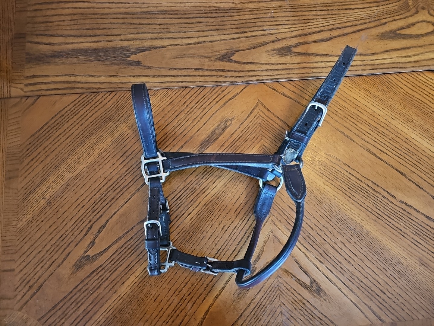 Brown Leather Track Halter Horse Double Stitch Adjustable Rolled Throat Latch