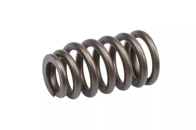 Genuine GM Engine Valve Spring 12647873