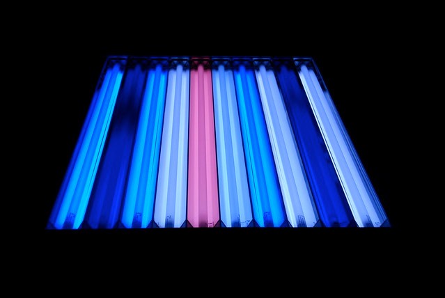 T5 Purple Plus Light Bulb - ATI