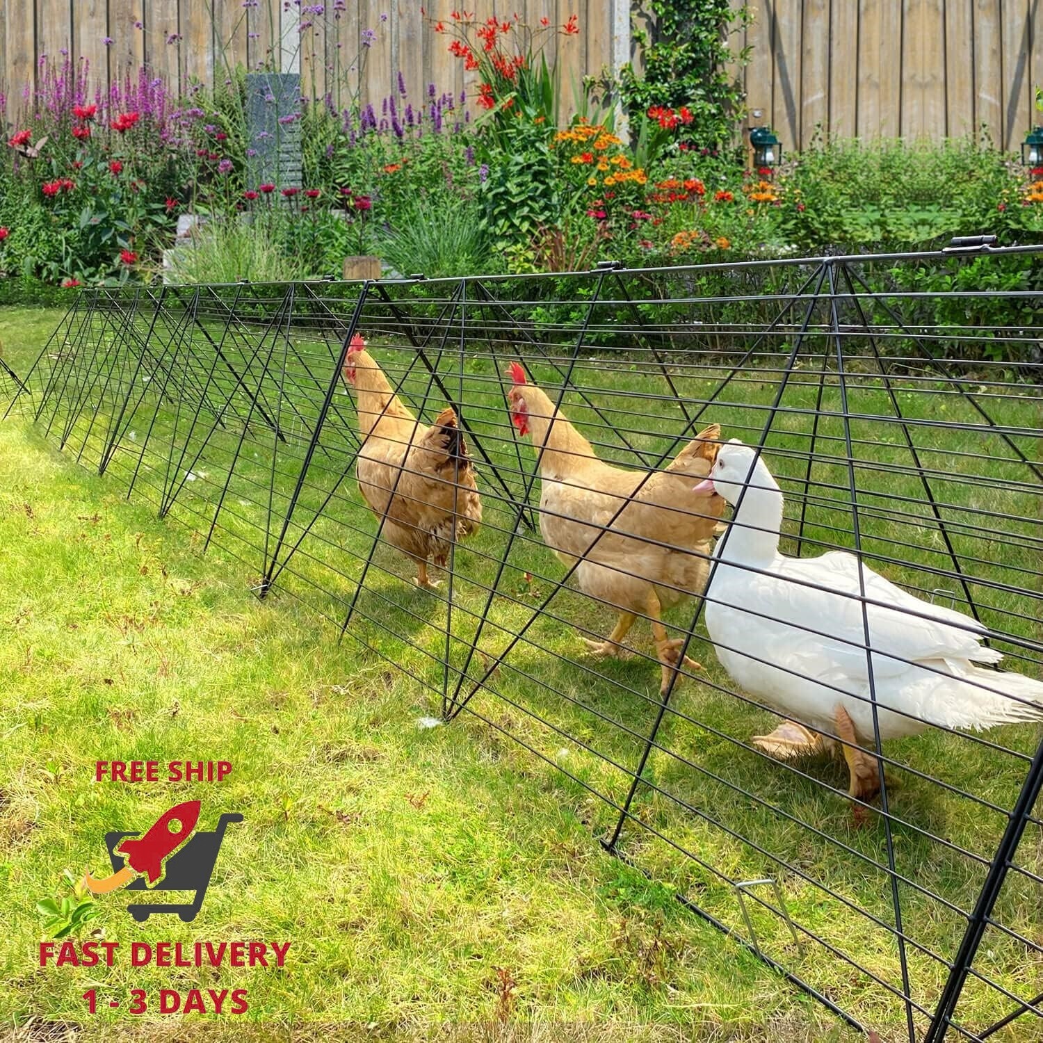 Túneles para gallinas para patio, túneles para gallinas para exteriores
