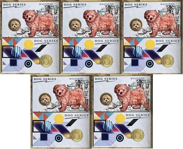 Pagan - 5 pcs x 8 Dollars 2025 UNC Maltipoo Dog - in folder  Lemberg-Zp