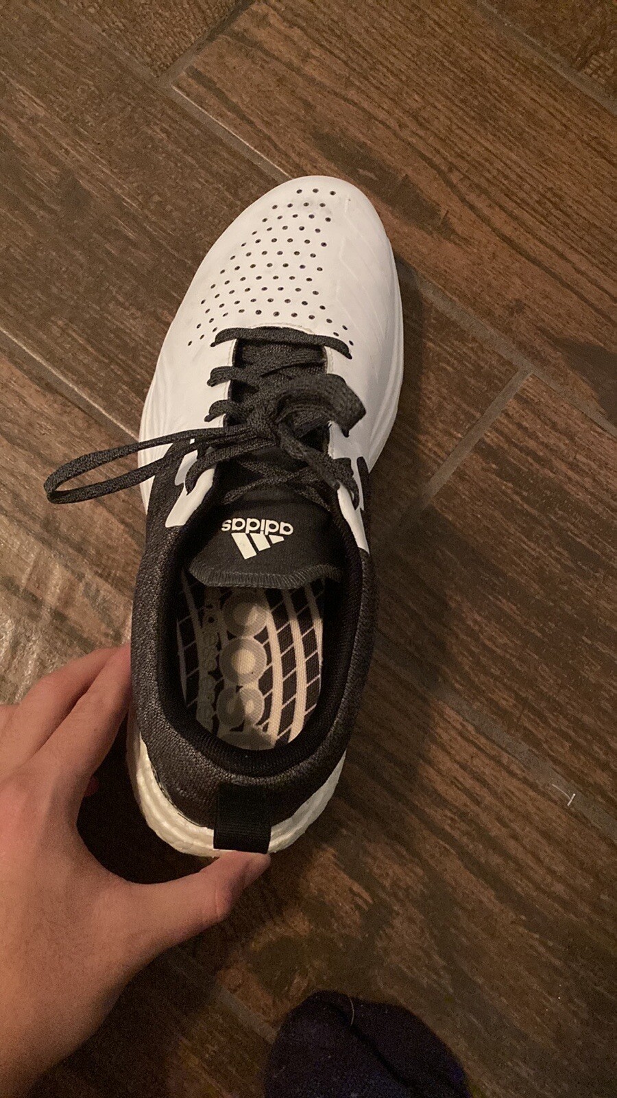 adidas golf shoes 9 men new