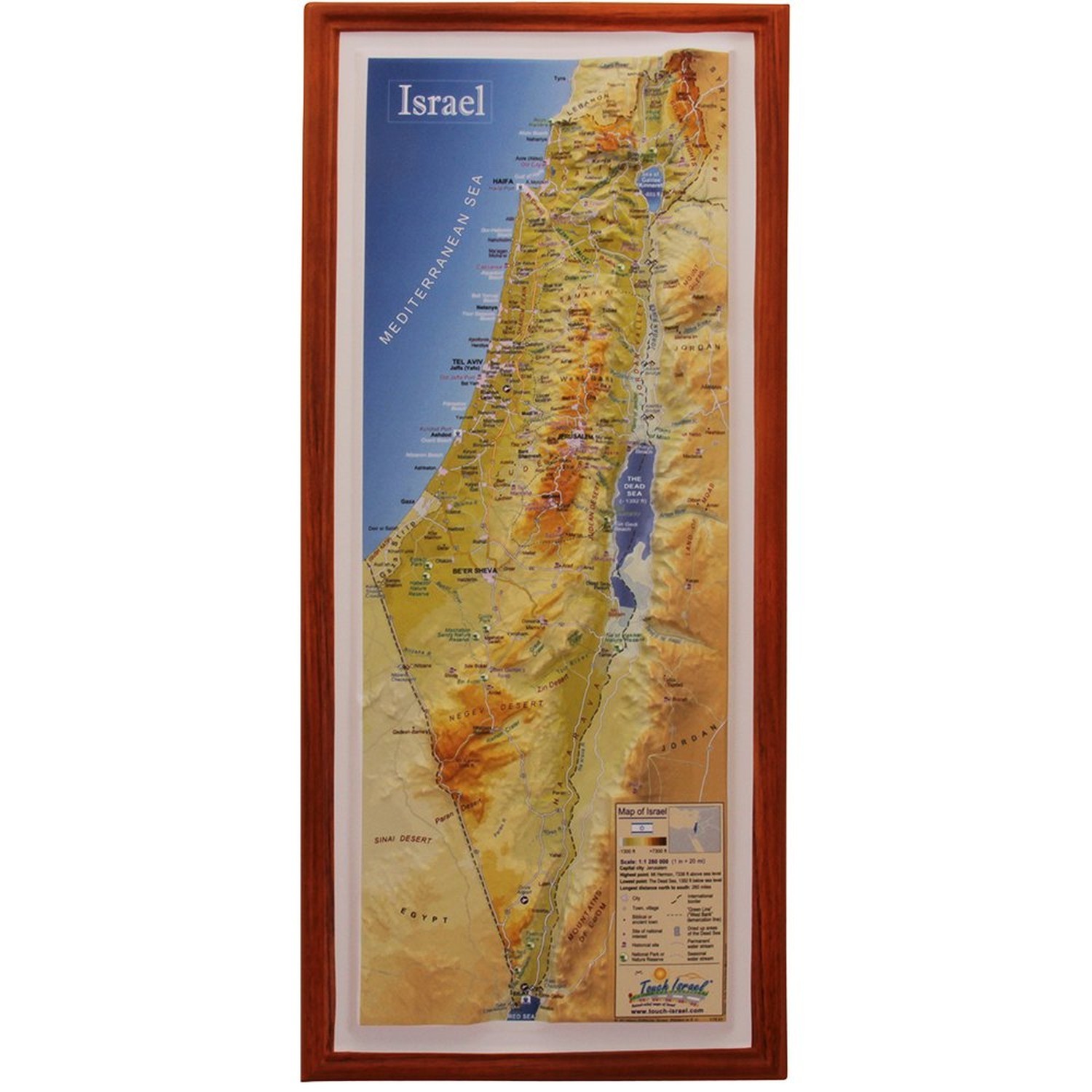 Raised Relief 3D Map of Israel (MEDIUM: 14.5 x 6.5) pink
