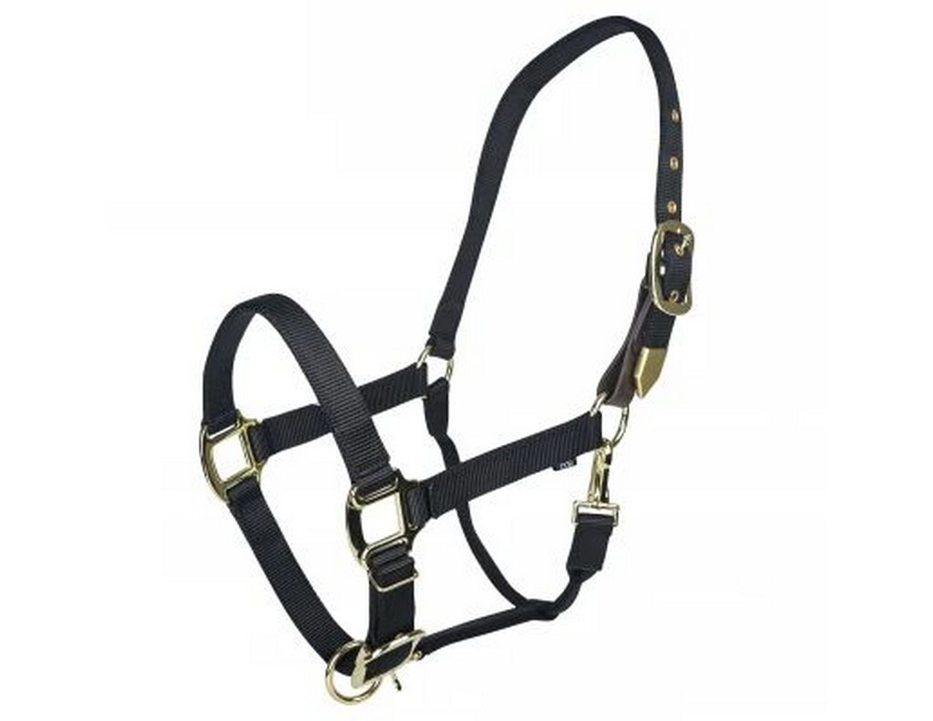 Gatsby Halter Gold Adjustable Nylon Safety Breakaway Reinforced 729268