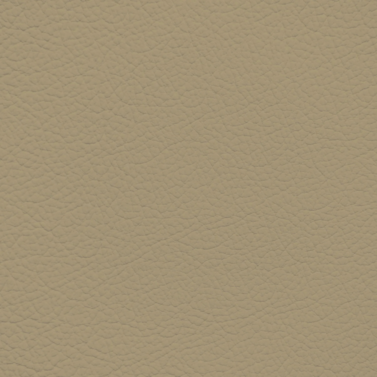 GM Medium Light Neutral Leather Dye