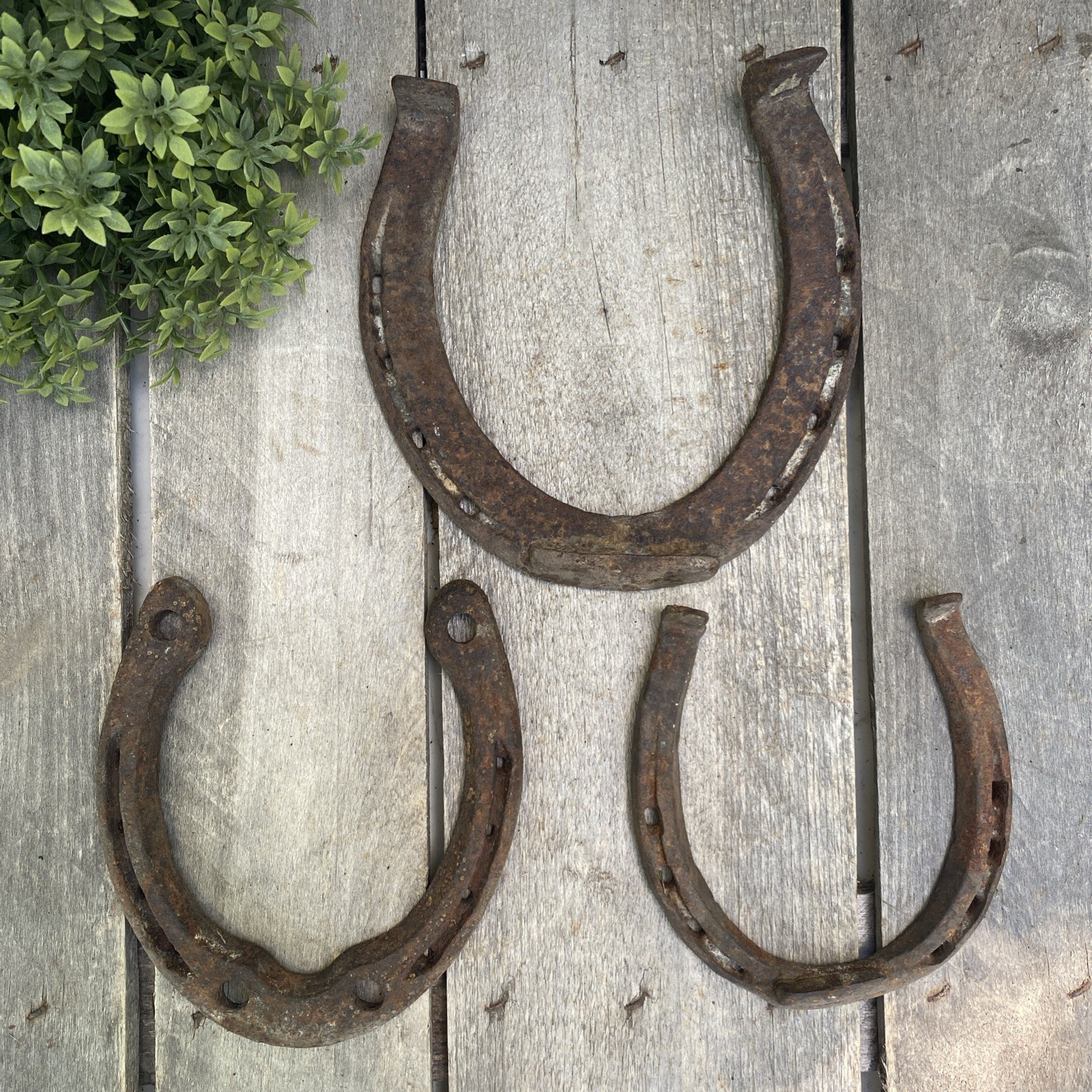 Antique Horse Shoe Tack Mule Rusty Rustic Western Decor Lodge Wall Cabin Art