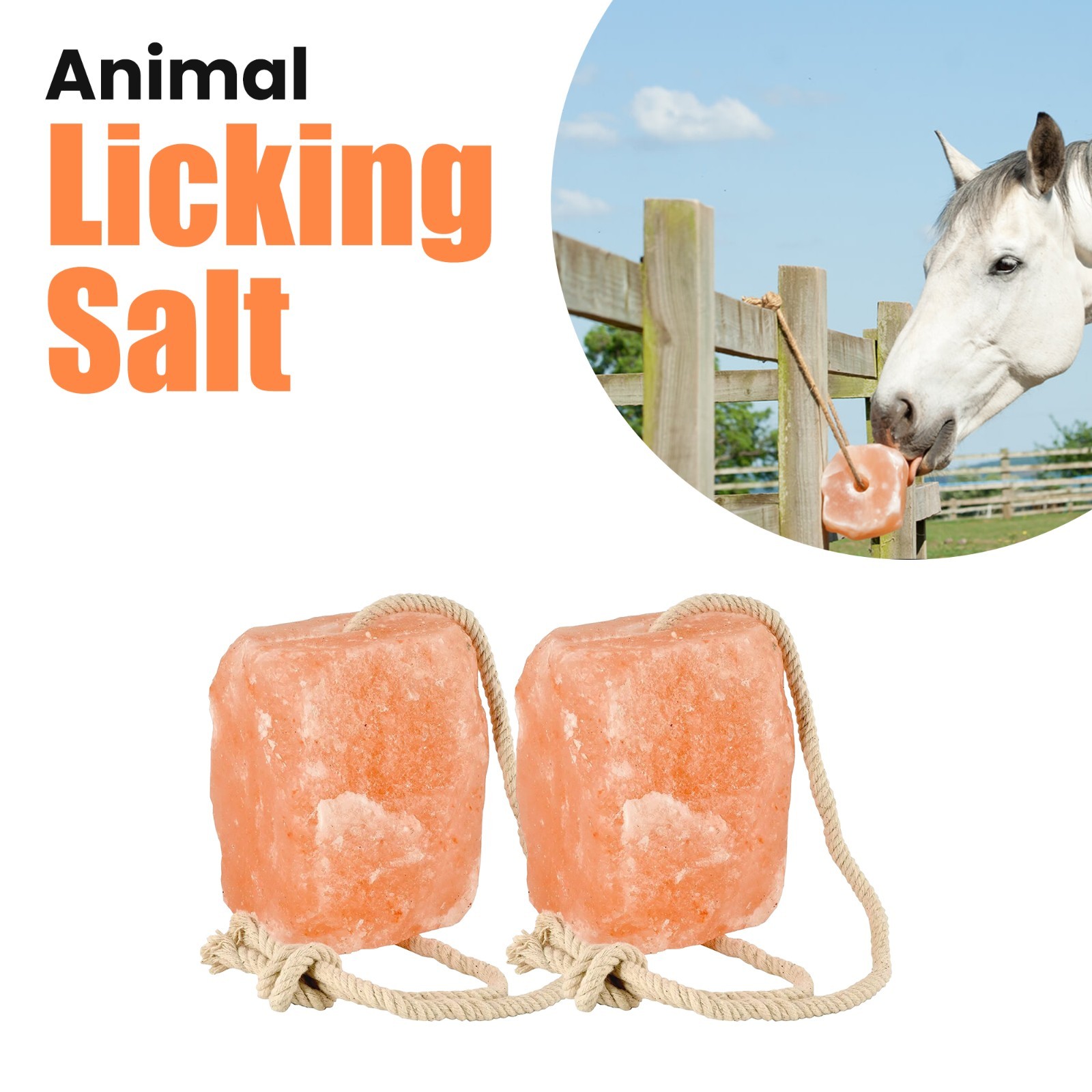 Horse Treats – Natural Himalayan Salt Lick Mineral Block for Horses (Pack of 12)