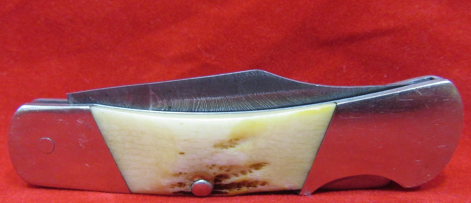 Bear & Son Folding Knife 2.25in Damascus Blade Genuine India Stag