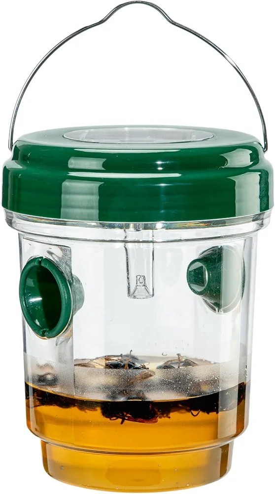 Sahcnu Hanging Wasp Trap with Solar Panel Light