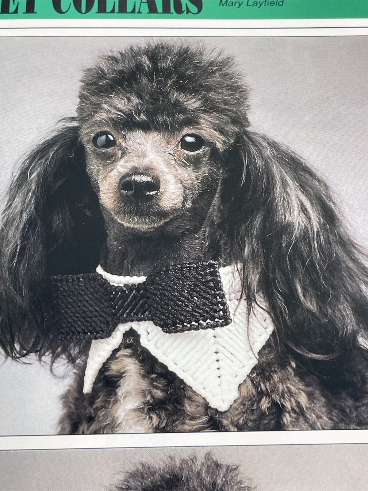 Pet Collars Formal & Country Annie's Plastic Canvas Pattern