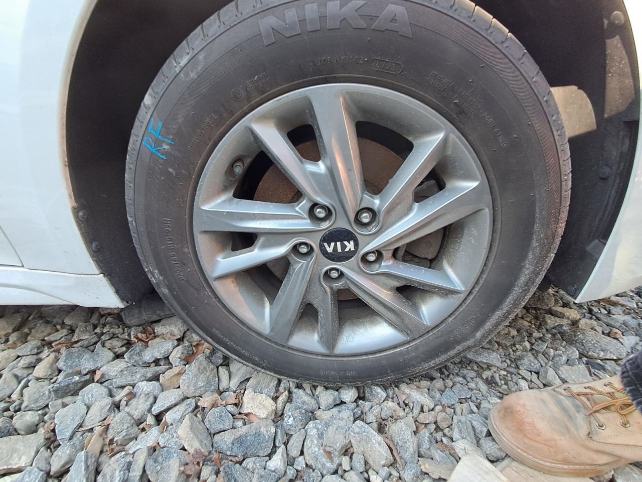 OPTIMAKIA 2019 Transmission Shift 2917287