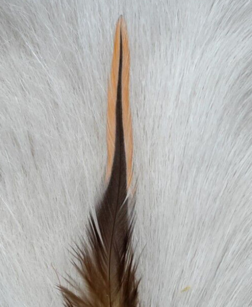 Fly Tying Saddle Feather. (10) large Pack.. assorted Colors.. Free Shipping.
