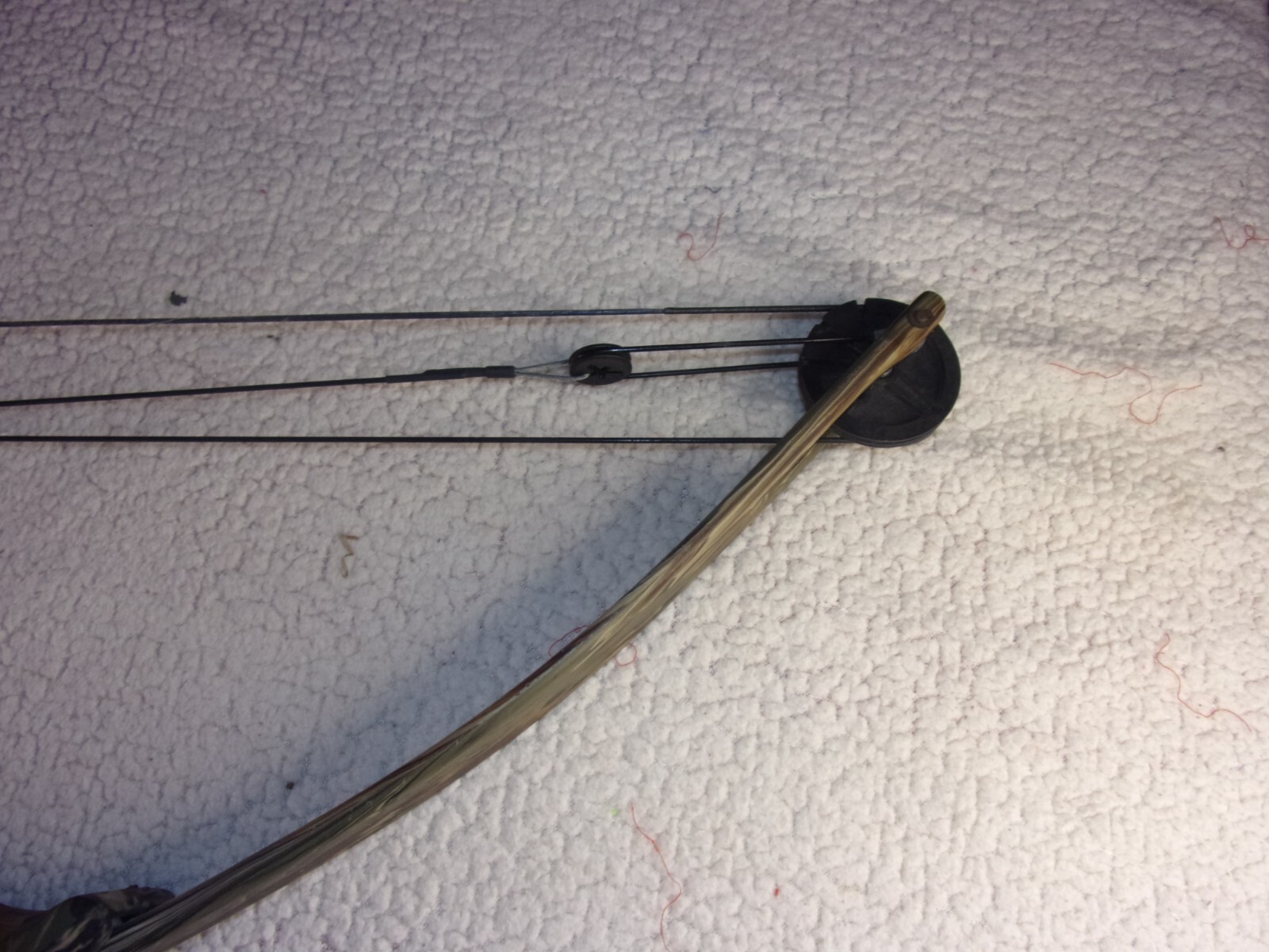 Bear Kodiak II Compound Bow