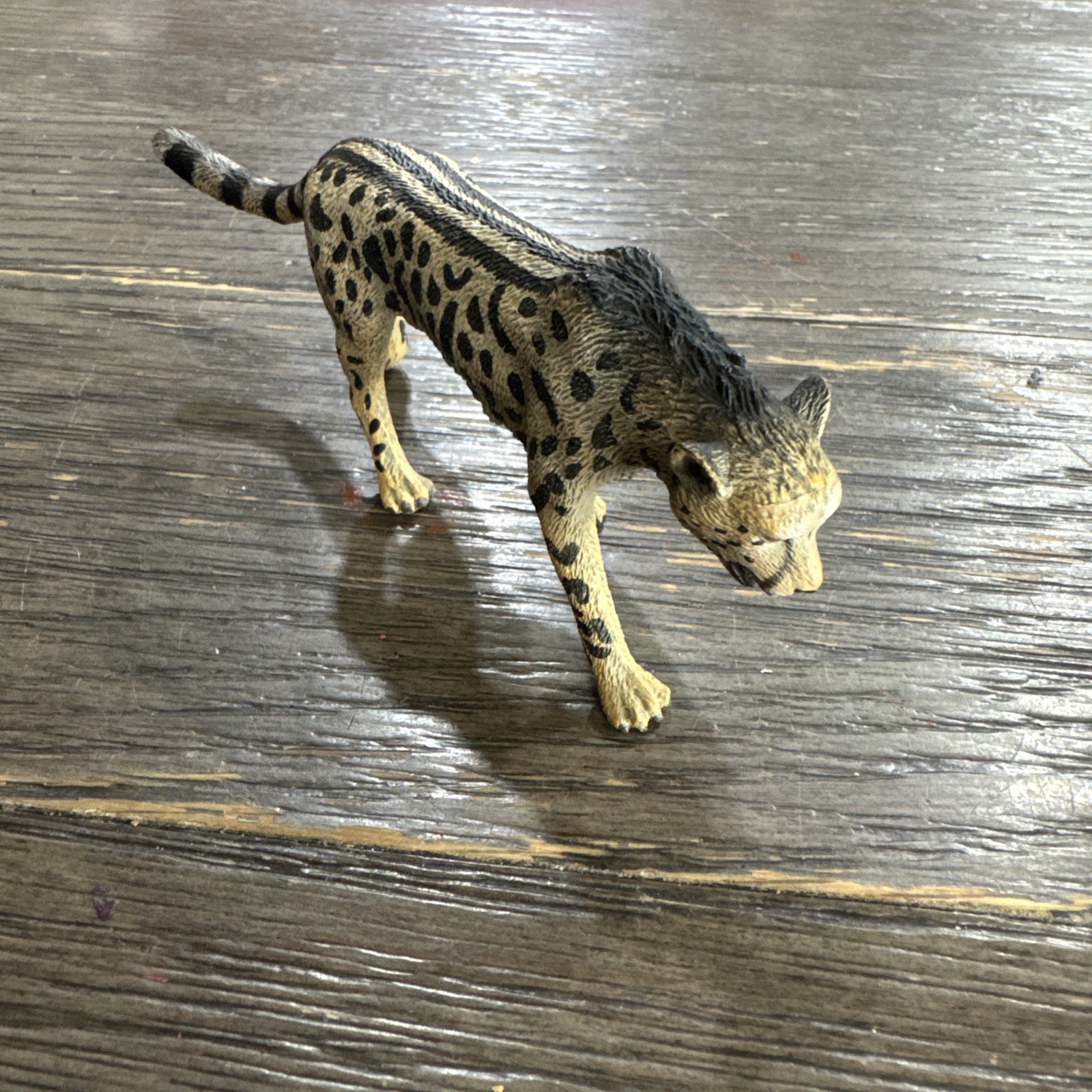 CollectA King Cheetah 2013 Adult - Wild Life 13cm EXCELLENT CONDITION