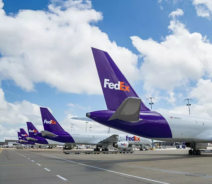 FEDEX SHIPPING FEE (From Japan)