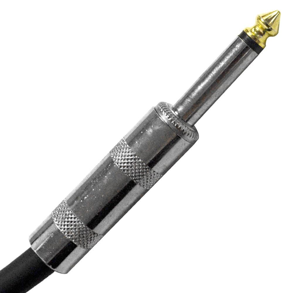 FS10 10 Ft 1/4" Speaker Cable