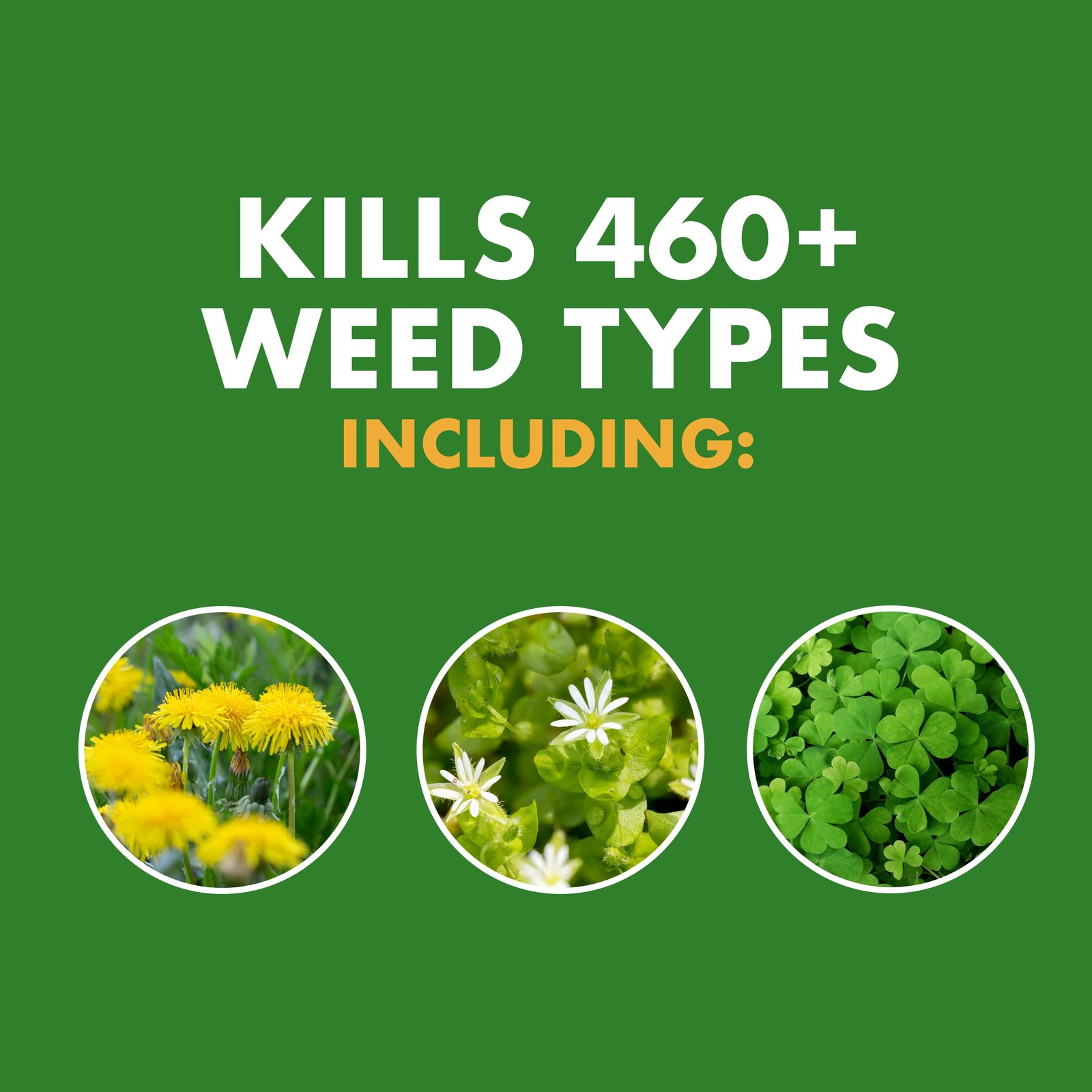 Weed Stop for Lawns, Ready-to-Use Formula, 1 Gallon