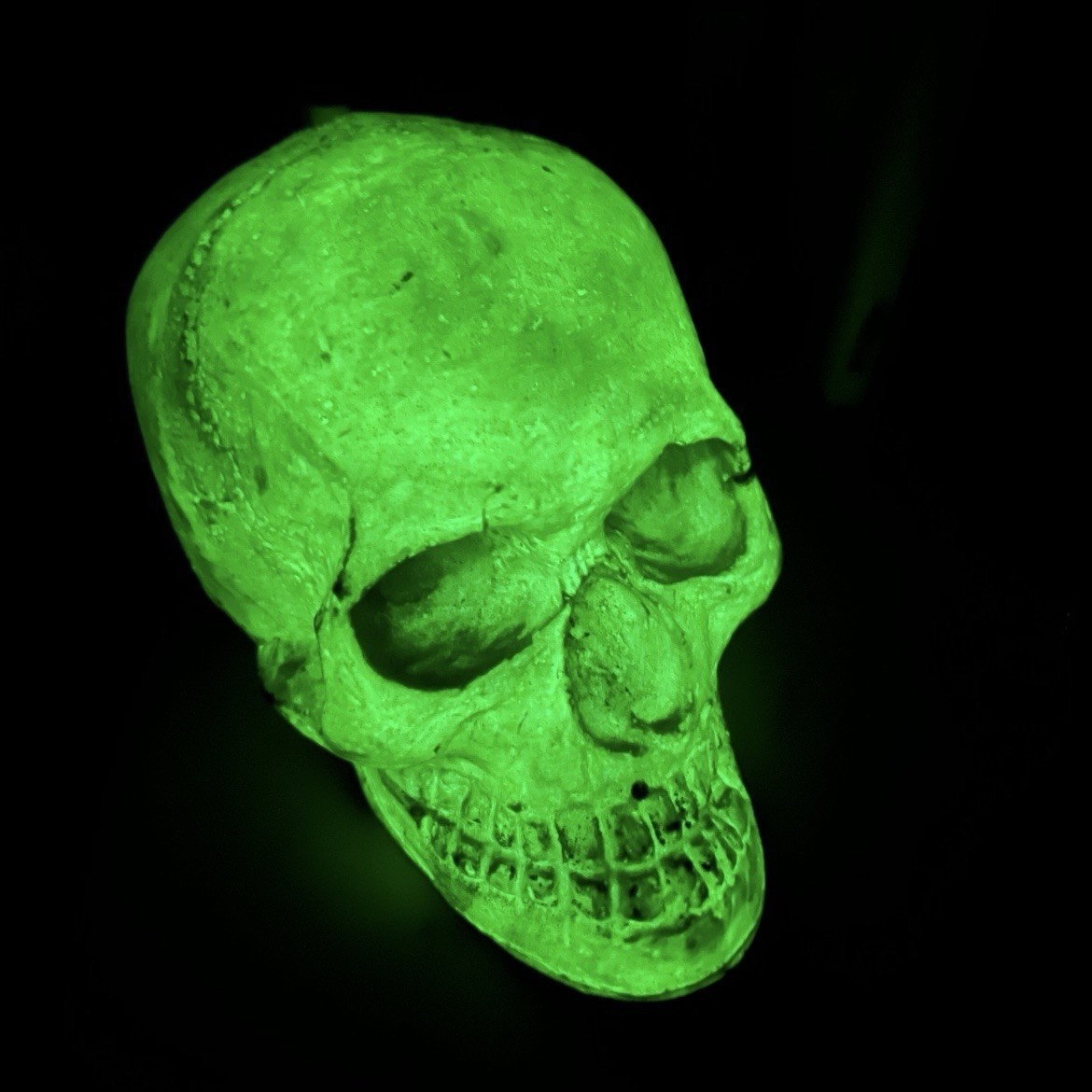 Glow In The Dark Rubber Human Skull Halloween Night Spooky Home Decor Party Prop