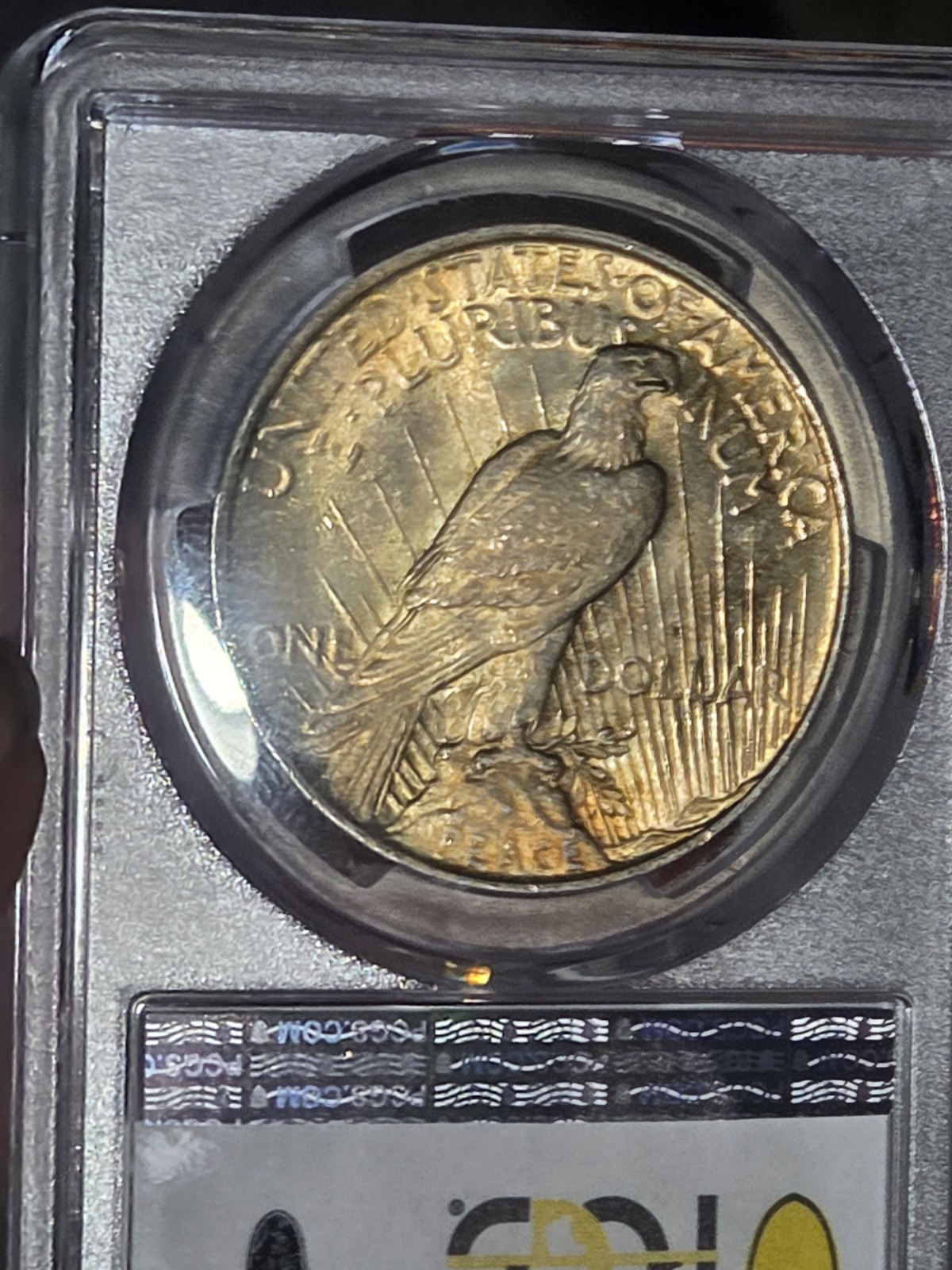 1922 $1 Peace Dollar PCGS MS63 Toned