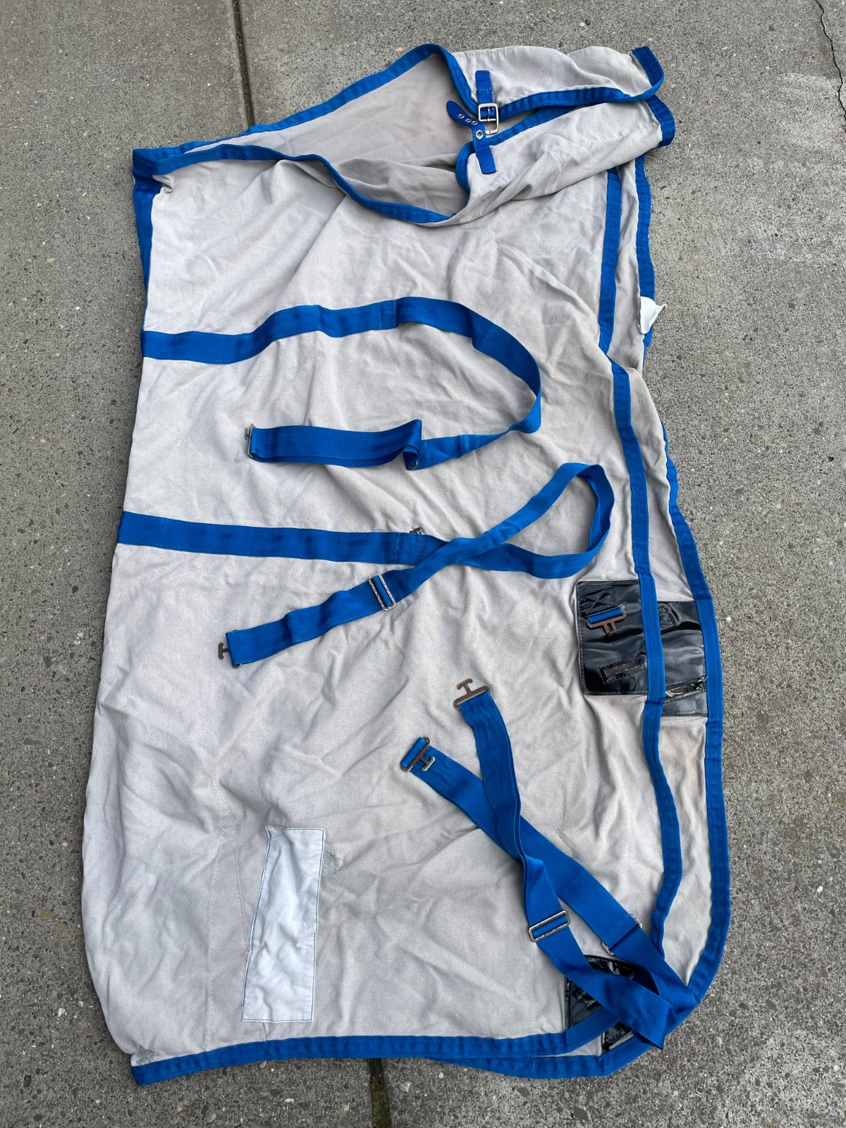Jacks horse blanket woven heavy sheet with patent leather trim royal blue straps