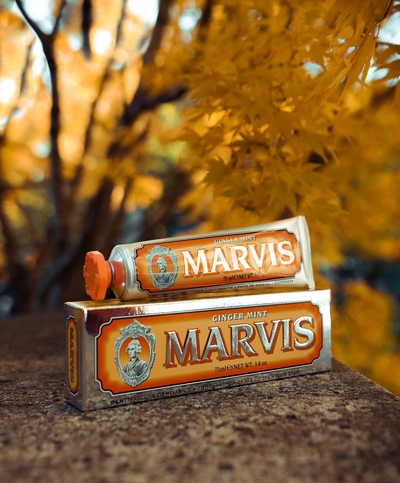 Toothpaste Ginger Mint 3.86 oz Marvis Model 0893