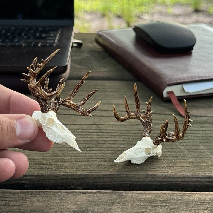 2 Mini Deer Skull & Antler Mirror Hangers, White/Brown