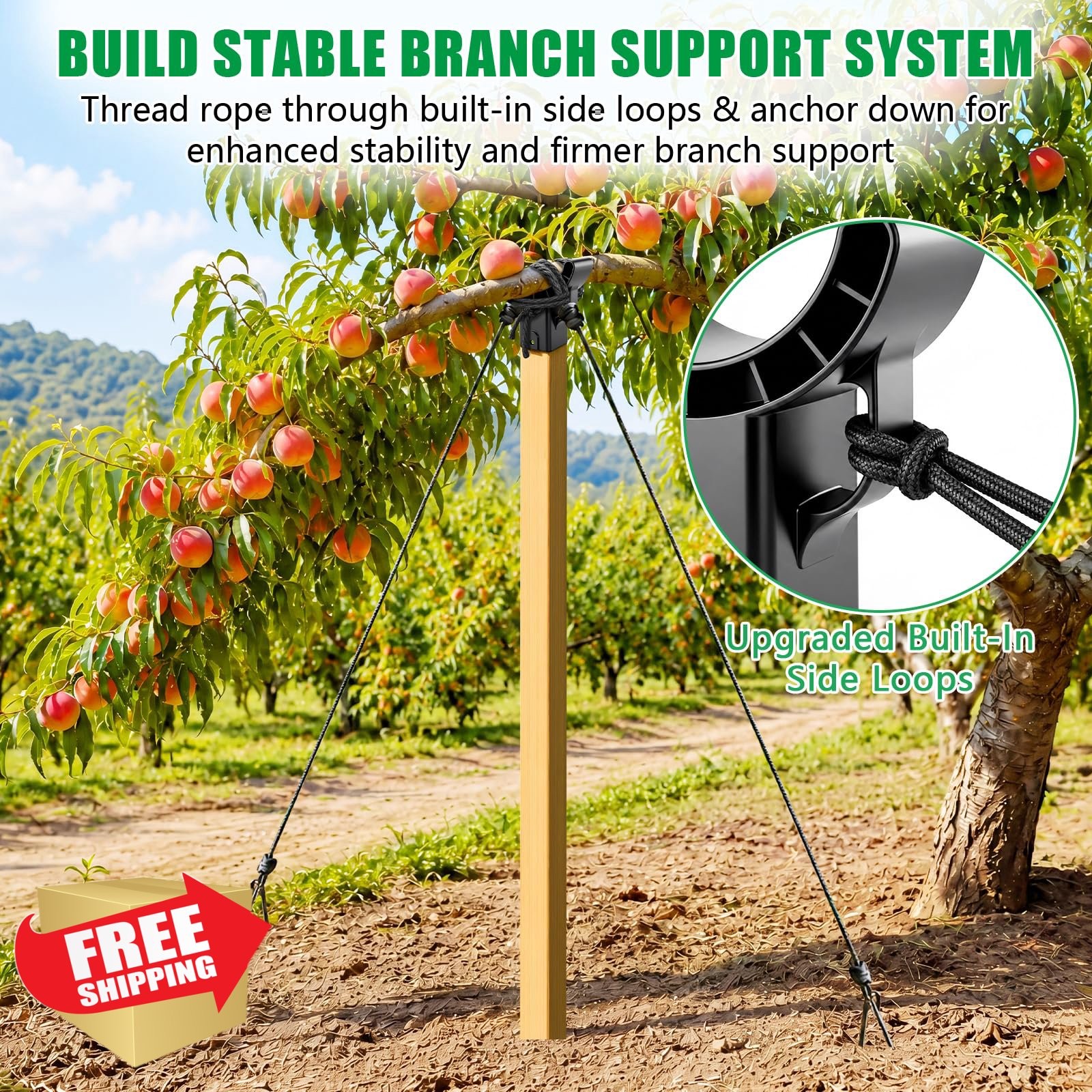 KJX 2 Pack Tree Crutches Black