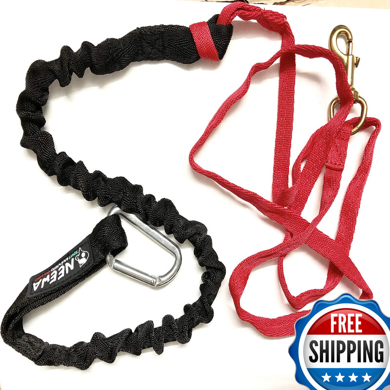 Neewa Tug Line Bungee To Run Your Dog Canicross Bikejoring Skijoring Hands
