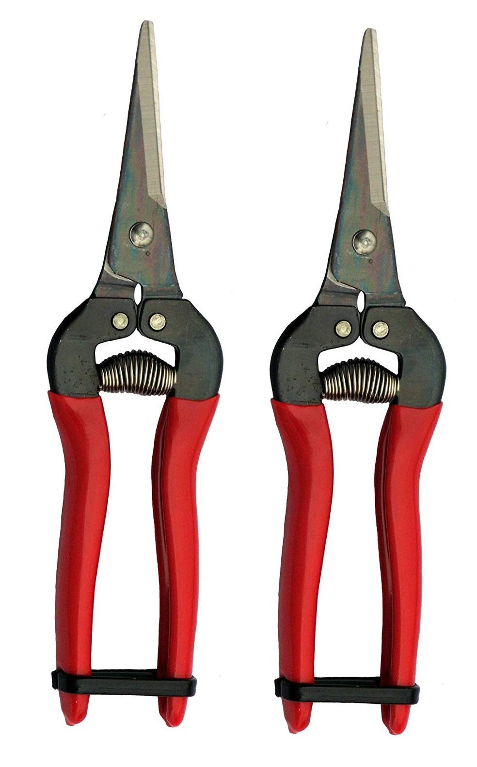 HP-300L Needle Nose Fruit Pruners (2 Pack)
