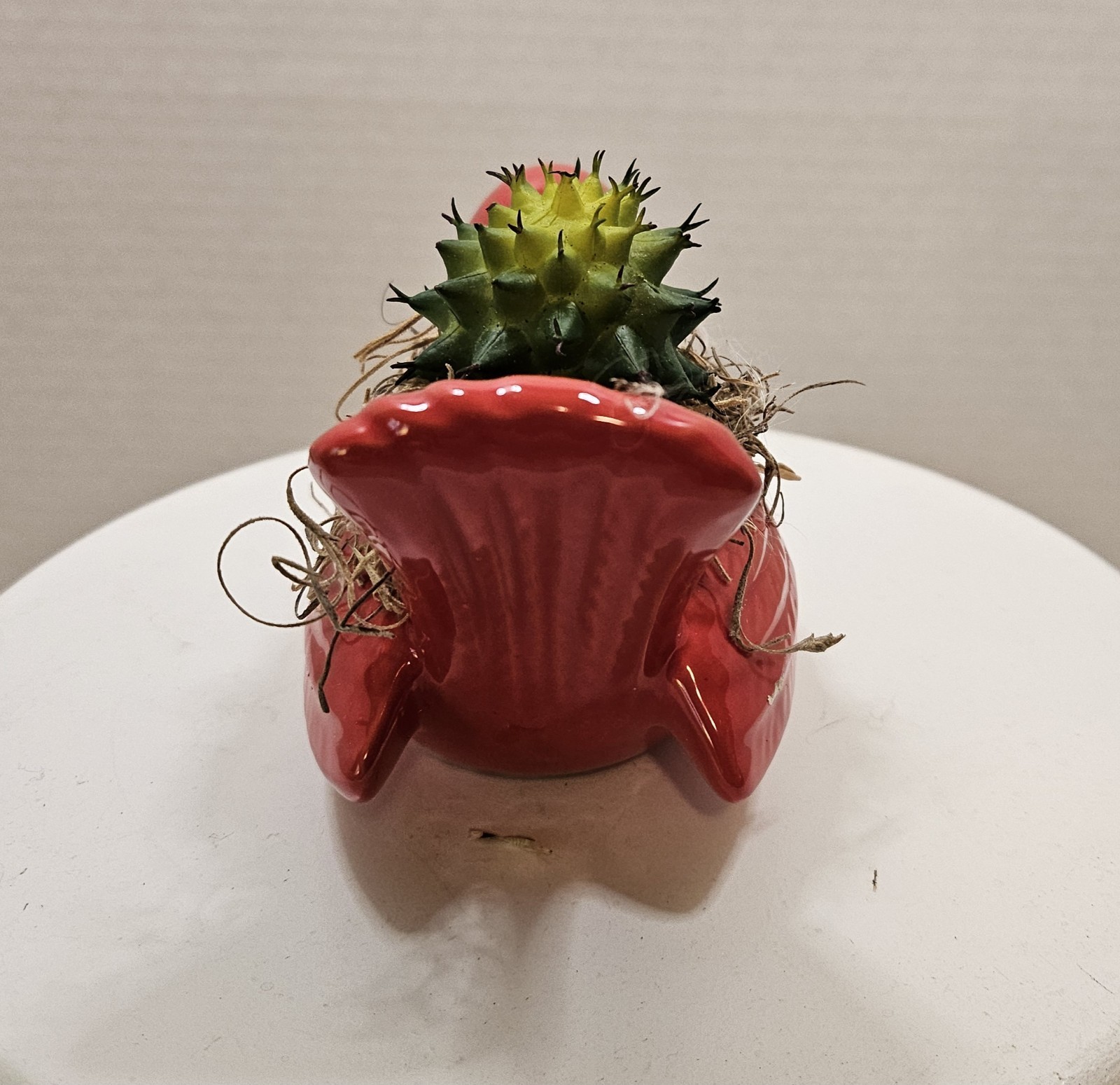 Red ceramic bird Planter with artificial succulent (Handmade Arrangement)