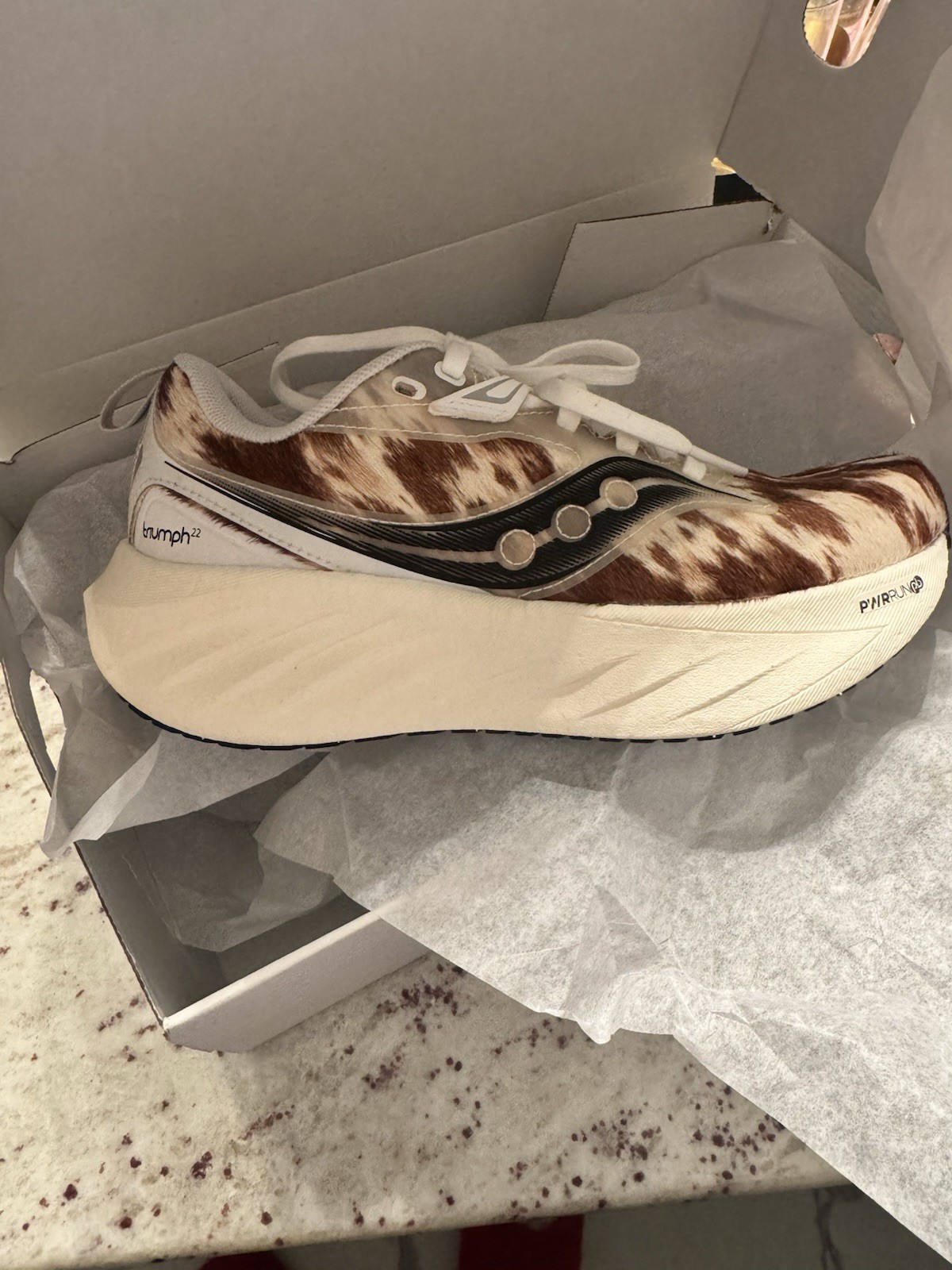 Saucony Triumph 22 x Nordstrom