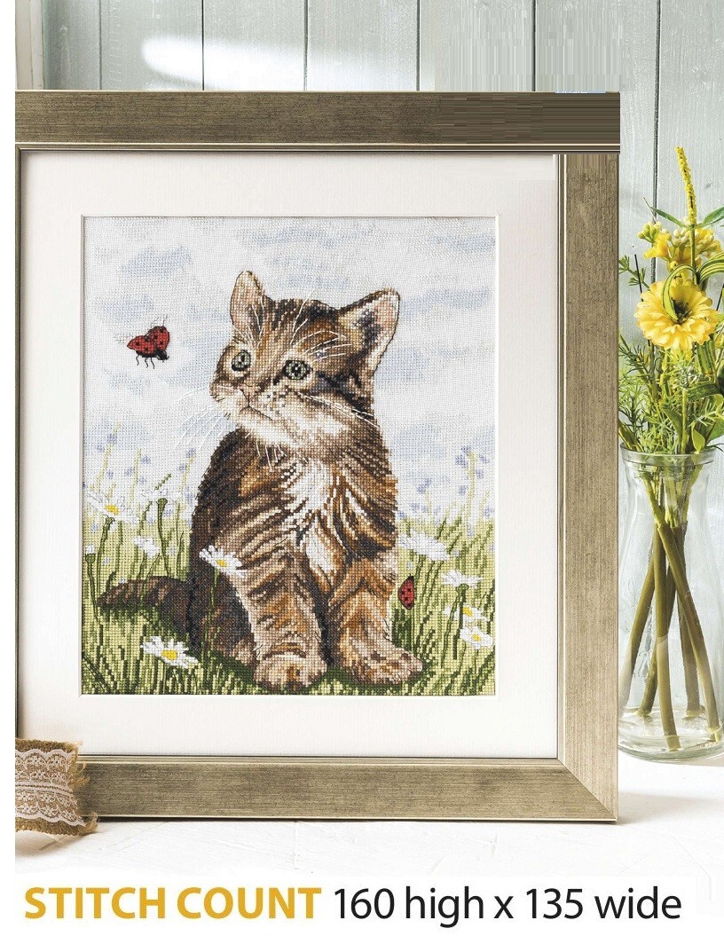 CUTE KITTEN  CROSS STITCH PATTERN  ONLY     ALS  VE
