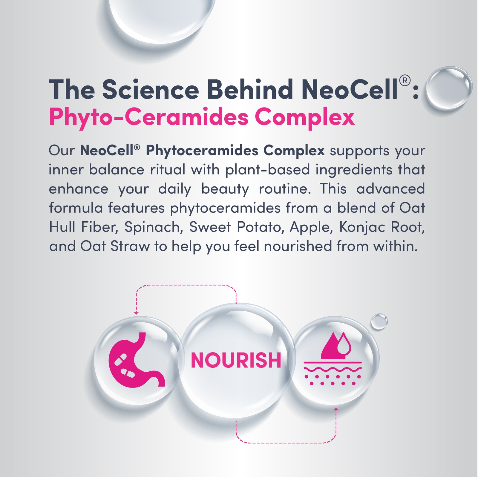 Phytoceramide Complex Supplement | 60 Vegan Capsules | by NeoCell